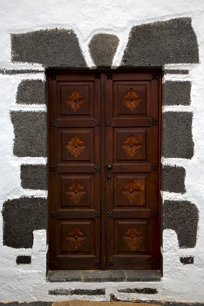 Brass brown knocker in a brown closed woo — Stock Photo, Image