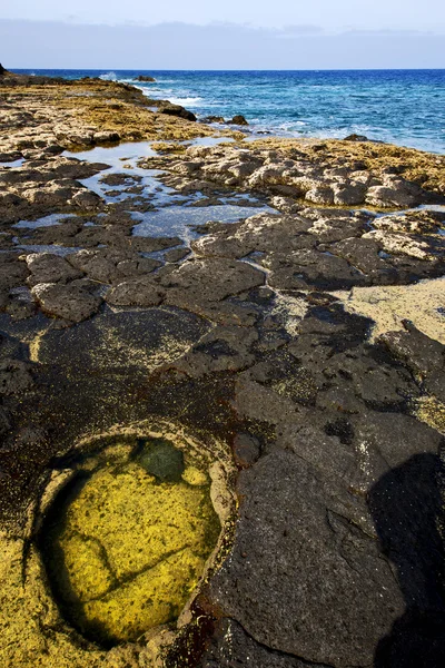 In spain lanzarote rock stone water musk pond coastline and — Stock Photo, Image