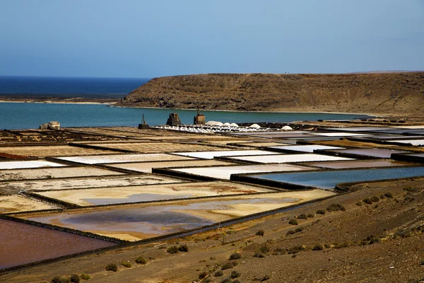 Zout in lanzarote stenen hemel water kustlijn en de zomer — Stockfoto