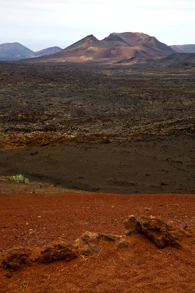 Vulkanische timanfaya rode rots stenen lanzarote Spanje plant bloem — Stockfoto