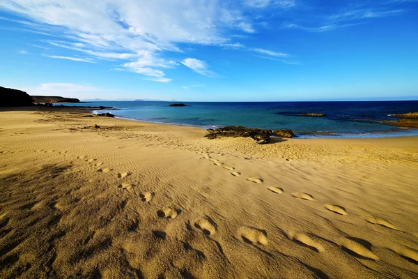 Krok v létě lanzarote — Stock fotografie