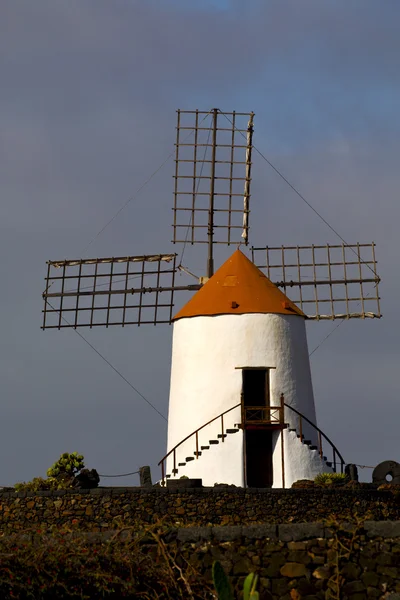 Cactus windmills in isle of lanzarote — Stock Photo, Image