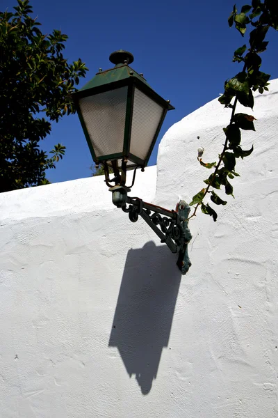 Plant spain street lamp a bulb — Stock Photo, Image