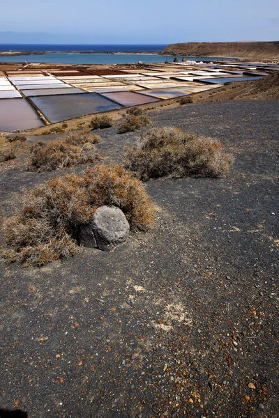 Su kıyı şeridi tuz lanzarote İspanya — Stok fotoğraf