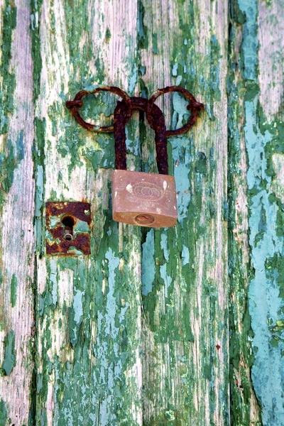 Замок испанский стукач Лансароте дерево двери — стоковое фото