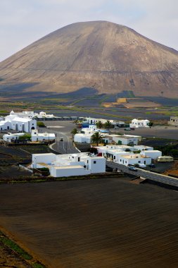 Şehir ekimi ev bağcılık lanzarote