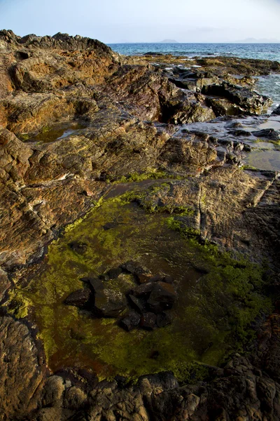 Spanien moschus rock stone wasser sommer auf lanzarote — Stockfoto