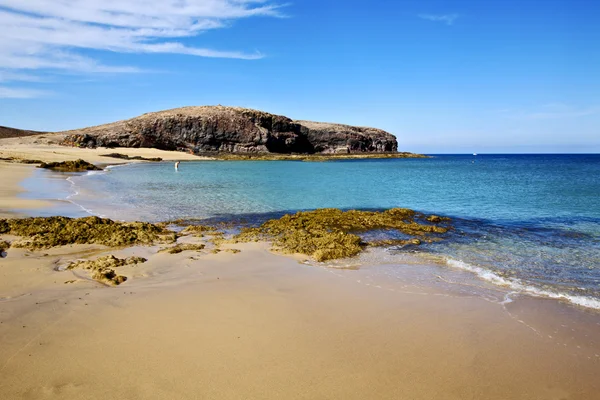 Människor vatten i lanzarote Spanien damm rock mysk och sommaren — Stockfoto