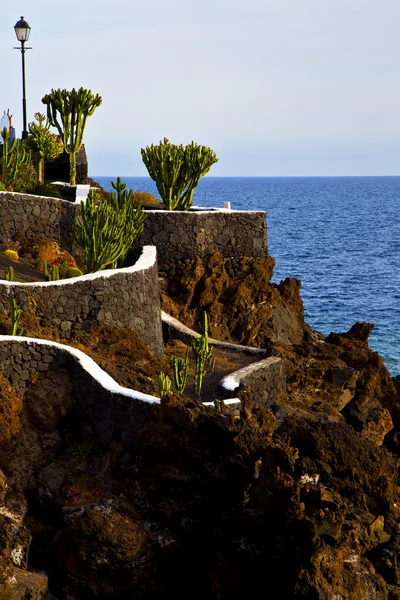 Cacto lâmpada de rua cadeia colina costa lanzarote — Fotografia de Stock