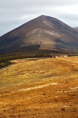 ekimi ev bağcılık şarapçılık lanzarote
