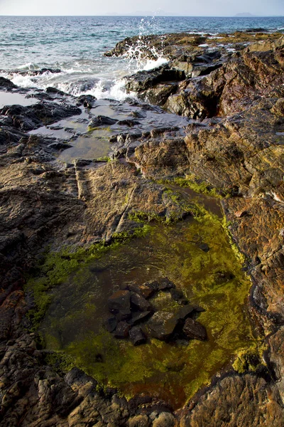 Dans lanzarote mousse roche espagne paysage pierre nuage plage — Photo