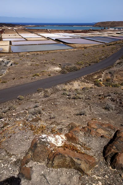 Salt i lanzarote Spanien mysk po kustlinje och sommaren — Stockfoto