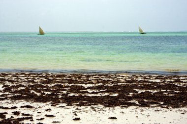 costline tekne pirague relax zanzibar Afrika