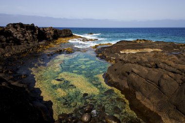 lanzarote İspanya köpük kıyı şeridi