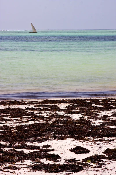 Boat pirague in the blue lagoon relax zanzibar africa — Stock Photo, Image