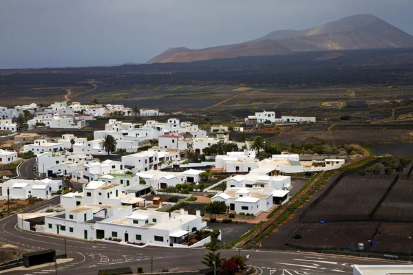 City cultivation home winery lanzarote — Stock Photo, Image