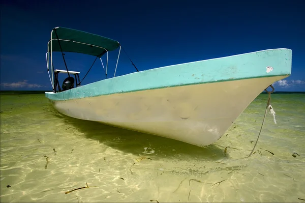 Palm laguny relaxovat a člun sian kaan v Mexiku — Stock fotografie