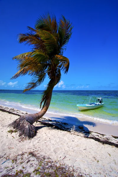 Palma na lagoa azul relaxar e barco de Kaan siano — Fotografia de Stock