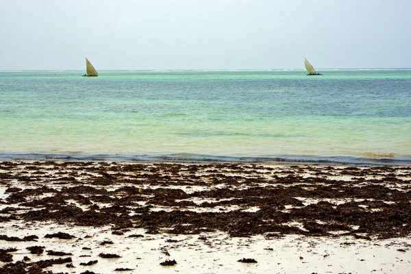 Costline tekne pirague relax zanzibar Afrika — Stok fotoğraf