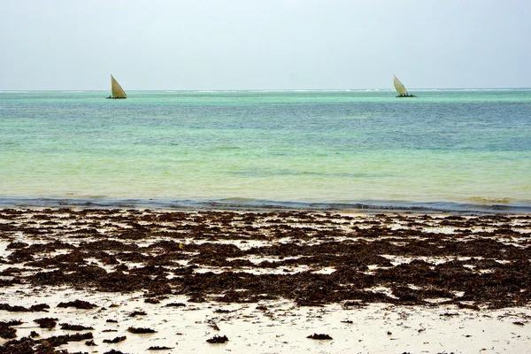 Zee boot pirague in de relax zanzibar Afrika — Stockfoto