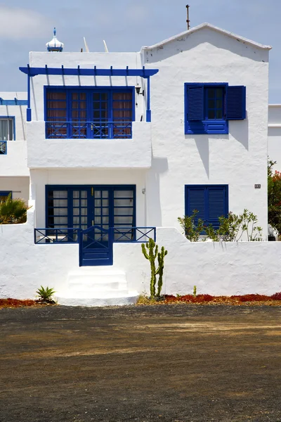 アレシフェ ランサローテ島スペインの家のステップのサボテン ブッシュ ロック — ストック写真