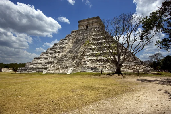 Ângulo selvagem do templo chichen itza tulum méxico — Fotografia de Stock