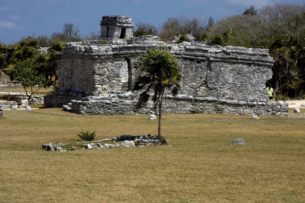 Ángulo salvaje del templo del tulum en mexico america — Foto de Stock