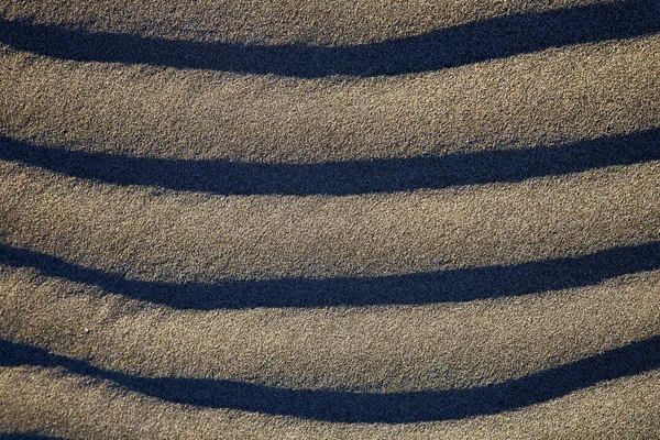 In lanzarote abstract of a dry sand the beach — Stock Photo, Image