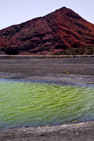 Pflanze Stein Meer Himmel Wasser Spanien Moschus Teich Felsenküste — Stockfoto