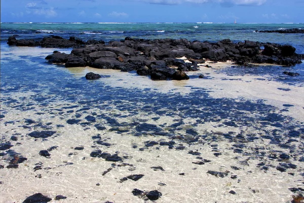 Boat foam footstep of deus cocos mauritius — Stock Photo, Image