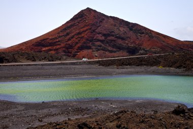Araba sokak insanlar taş Atlantik Okyanusu köpek