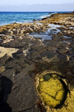İspanya lanzarote kaya su misk gölet kıyıları ve Summer