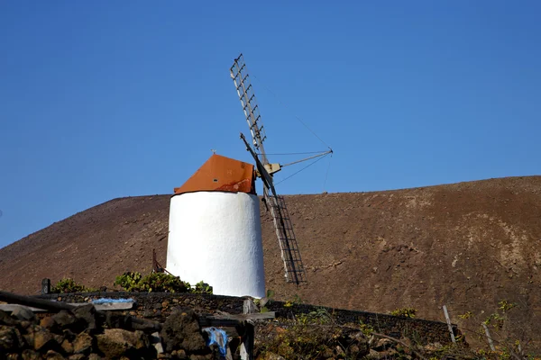 Cactus windmills isle of lanzarote spain and sky — Stock Photo, Image