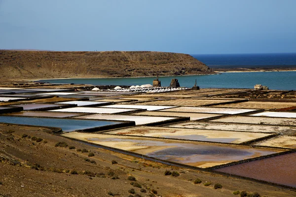 Salt i lanzarote sten s vatten kustlinje och sommaren — Stockfoto