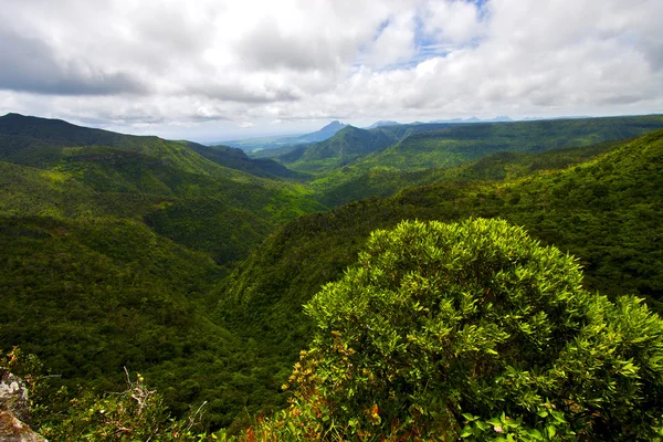 Mauritius River mountain — Stok fotoğraf