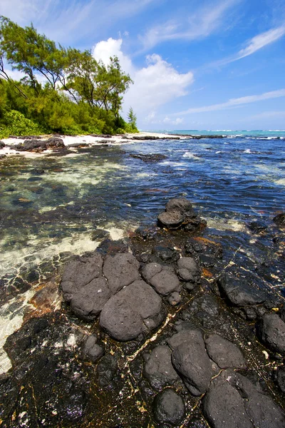 Blue bay foam deus cocos in mauritius — Stock Photo, Image