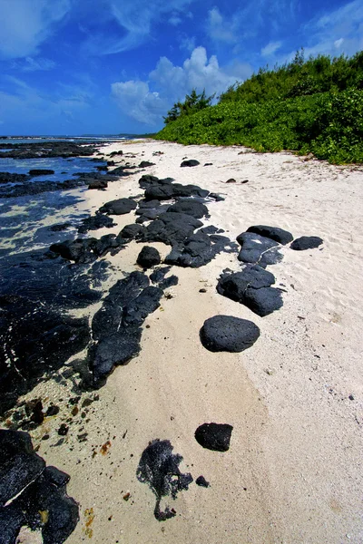 蓝色的海湾泡沫脚步印度洋在岛上的一些石头 — 图库照片