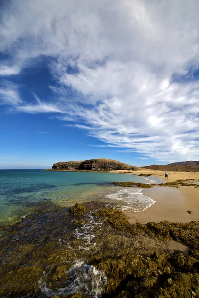 Beach water coastline and summer in lanzarote — Stock Photo, Image