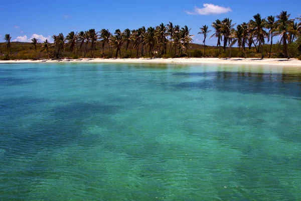 A rock v modré laguně relaxovat isla contoy Mexiko — Stock fotografie