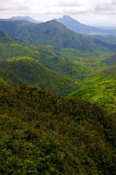 Black river mauritius africa — Stock Photo, Image