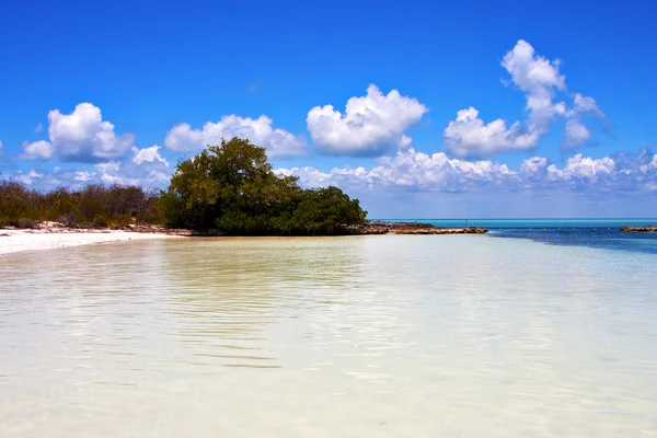 Kusten och lagunen koppla av isla contoy Mexiko — Stockfoto