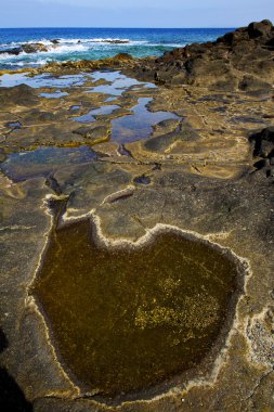 İspanya lanzarote gölet kıyıları ve yaz