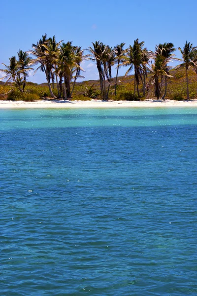 海岸线和 isla contoy 墨西哥 — 图库照片