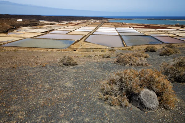 Salz in lanzarote spanien moschus c und sommer — Stockfoto