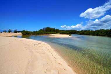 gölet kıyıları nehir relax ve bush Madagaskar