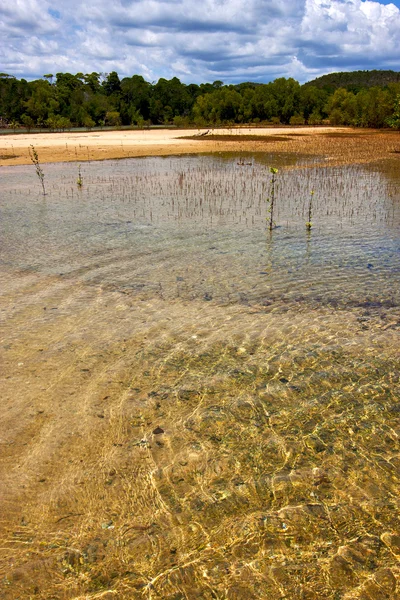Étang lagune se détendre et buisson dans madagascar iranja — Photo