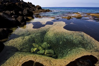 Misk gölet taş taş kıyı şeridi ve lanzarote İspanya yaz