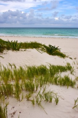 mavi lagün sakin ve playa maroma tekne