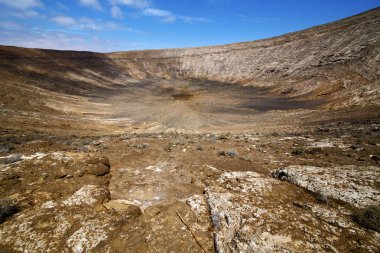 Timanfaya los volcanes lanzarote İspanya bitki çiçek Bush