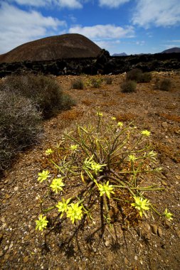 Timanfaya vulcanic taş taş gökyüzü